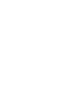 Prothom Rajnaitik Hatya